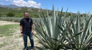 O Que Aconteceu com a Remoção de Carbono em 2025?