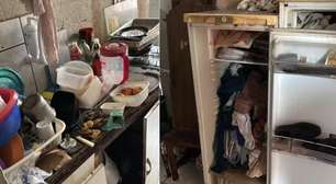 Mulher vivia com 46 gatos em apartamento em Mairinque em condições insalubres