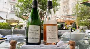 Champagne Telmont: a filosofia "em nome da Terra" apoiada por Leonardo DiCaprio