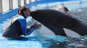 Orca 'mais solitária do mundo' morre após viver mais de 30 anos em cativeiro na Argentina