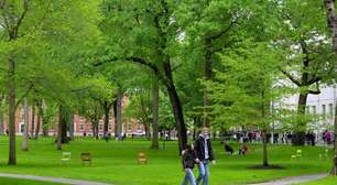 Ex-diretor do necrotério da Escola de Medicina de Harvard é condenado por venda de restos humanos