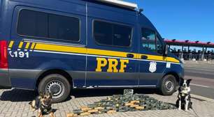 Mulheres são presas com 55 quilos de crack na Freeway