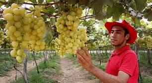 Unesp abre mestrado para assentados e quilombolas em 2026