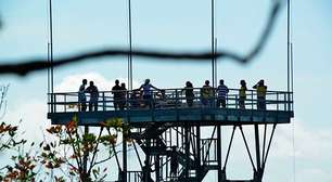 5 museus diferentões no Brasil para ir com crianças