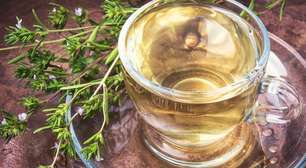 Chá de orégano: conheça os benefícios da bebida para a saúde