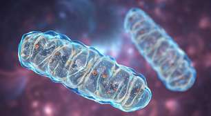 Síndrome de Leigh: entendendo a doença, seus sintomas e cuidados