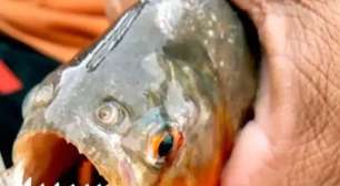 Pescador encontra piranha em curso d'água ligado à Lagoa dos Barros, em Osório