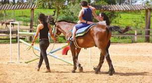 Equoterapia: tratamento com cavalos favorece saúde dos humanos