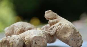 Toque na culinária e na saúde: saiba usar o gengibre