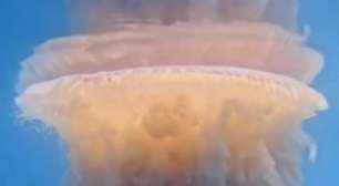 Água-viva gigantesca e rara causa espanto no litoral do Brasil