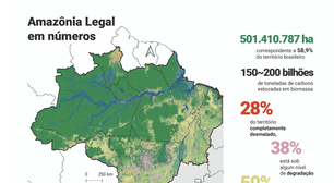 Políticas ambientais: o que revela o novo diagnóstico sobre as Unidades de Conservação da Amazônia Legal