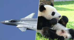 A China não precisa de bombas ou mísseis para impor sua vontade; isso se chama "diplomacia do panda", e acaba de ser aplicada ao Japão
