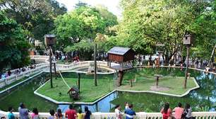 Zoológico onde jovem foi morto por leoa reabre com câmeras com IA