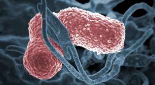 USP tem tratamento com luz que elimina bactéria da pneumonia