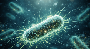 O aliado inesperado: não é remédio nem quimio, mas uma bactéria intestinal que 'aniquilou' o câncer em novo estudo