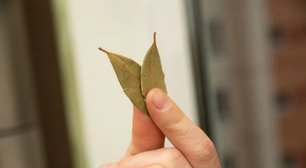 Colocar algumas folhas de louro nesta bebida pode ser a solução para quem tem dificuldade de pegar no sono