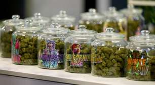 Trump tira maconha de lista de drogas consideradas perigosas e abre caminho para pesquisa médica nos EUA