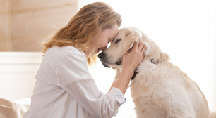 Projeto de lei que autoriza sepultamento de pets junto com tutores é aprovado na Alesp