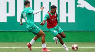 Palmeiras inicia preparação especial e mira novo feito histórico na base; entenda