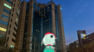 Árvore do Snoopy em Moema é opção gratuita de passeio em SP