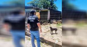 Polícia Civil intensifica fiscalização contra maus-tratos a animais domésticos em Osório