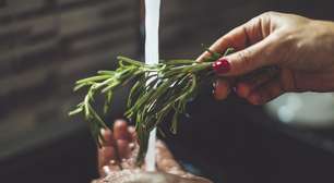 Se você tem alecrim na cozinha, você tem um tesouro: veja como ele protege sua saúde na ceia de Natal