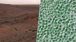 Em nossa obsessão com a terraformação de Marte, descobrimos duas bactérias: uma cria cimento, a outra o protege