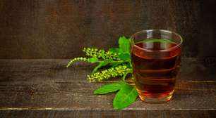 Chá de manjericão: descubra seus benefícios para a saúde