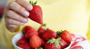 Fruteira ou geladeira: qual o melhor lugar para conservar os morangos em bom estado?