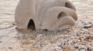 Morrer e virar um coral é uma opção para você? Para algumas pessoas é