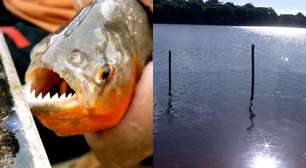 Ataque de piranhas tira a vida de criança de 2 anos