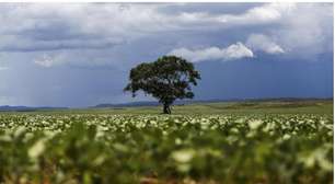 Propostas de combate à fome e energia limpa são apresentadas em eventos no Brasil e na Bolívia