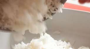 Tipos de arroz são mais variados do que muitos pensam; conheça