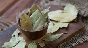 3 simpatias com folhas de louro para atrair prosperidade em 2026