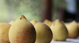 Refrescante e delicado, pêssego aumenta imunidade do organismo