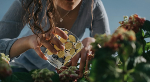 Minhas plantas estavam morrendo devido a muita ou pouca rega, até que descobri o truque do palito