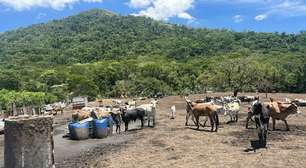 Denúncia leva ação em Bangu: fiscalização encontra abatedouro irregular