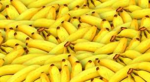 Fã de bananas, Rússia investe na produção local da fruta, apesar do clima desfavorável