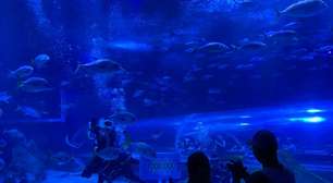 AquaRio alcança 1 milhão de visitantes em 2025 e celebra marca histórica no Natal