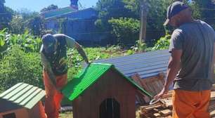Apenados no RS constroem casinhas para cães de ONGs