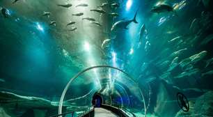 AquaRio registra recorde de 1 milhão de visitantes em 2025