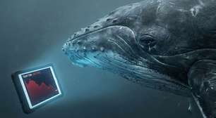 Baleia realiza prejuízo de 35% em criptomoeda de Donald Trump