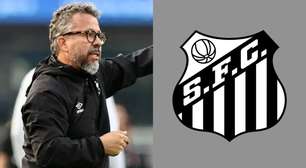 Ex-técnico dispara sobre o Santos FC: "É difícil com um time desestruturado"