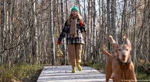 Cachorros têm "sexto sentido" para salvar donos de perigo?