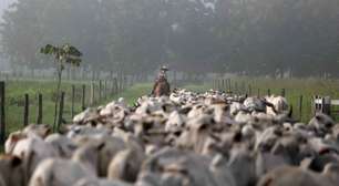 Japão marca auditoria sanitária sobre carne bovina do Brasil para março de 2026, diz ministério