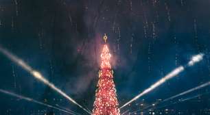 Orquestra de Conservatória fecha programação cultural da Árvore da Lagoa neste domingo