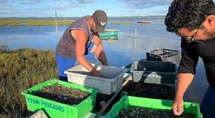 Programa Desenvolve RS Rural vai investir mais de R$ 5 milhões na pesca artesanal no Estado