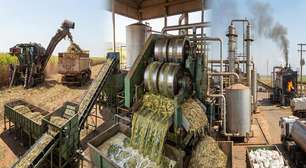 Milhões de toneladas de cana moídas e fermentadas: é assim que a indústria transforma o campo em açúcar e etanol para o Brasil