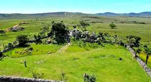 Pesquisadores se esforçam para proteger ave ameaçada na Serra da Canastra