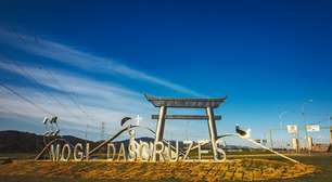 Avenida das Orquídeas ganha monumento do escultor mogiano Rodrigo Bittencourt